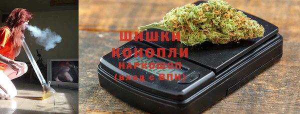 стаф Балахна