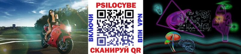 Галлюциногенные грибы GOLDEN TEACHER  ОМГ ОМГ вход  Зверево  дарнет шоп 